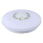 Powermaster PM-27329 Beyaz 30*6 cm 24 Watt Bluetooth Hoparlörlü Tavan Aydınlatma (AL-BL302) Tornavida Hediyeli - Şeffaf