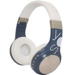 POWERMASTER SY-BT1607 MİCRO SD-AUX GİRİŞLİ KABLOSUZ BLUETOOTH KUL