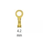 Powermaster Tks-2.5 4.2 Mm Topraklama Kablo Pabuç (10 Adet)