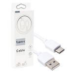 Powermaster To Type-C Hızlı Şarj ve Data Kablosu