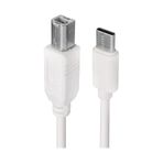 Powermaster Type-c Usb B 1.5 Metre Yazıcı Kablosu Pm-16018 1 Adet