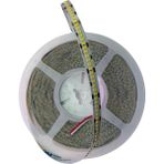 Powerr Led Aydınlatma 24 Volt 2835 Smd 240 LED 10MM 3000K Günışığı Iç Mekan 10 Metre Şerit LED