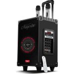 Powerway MT70 Siyah Taşınabilir Amfi Bluetooth Hoparlör