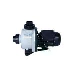 Poyraz Pool Niger - Kng.100 Dm - 1,00 Kw - Havuz Pompası P39S1097