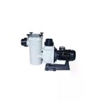 Poyraz Pool P30S2514 Kapri - Kap 450 T1.b - 4,3 Kw - Havuz Pompası