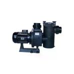 Poyraz Pool PP153.6072 Kan Plus 610 - T2.b - 5,75 Kw - Havuz Pompası