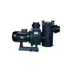Poyraz Pool PP153.6074 Kan Plus 1020 - T2.b - 8,70 Kw - Havuz Pompası