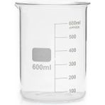 Poyrish Beherglas 600 Ml. - Çok Renkli - Standart