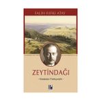 Pozitif Yayınları Zeytindağı (Günümüz Türkçesiyle) + Mutlu Yaşam Üzerine - Yaşamın Kısalığı Üzerine - Hayır