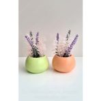 Pp Handmade 2li Vazo Yapay Çiçekli|Plastik Çiçekli Saksı|Yeşil Rengi|Yapay Sukulent Saksı|Yapay Bitki|Dekor