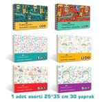 Pp Kapak Eğlenceli Resim Defteri 30 Yaprak 25 X 35 Cm