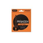 Pranzen Dego Müzik Keman Teli Profesyonel