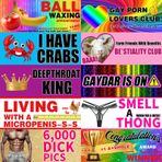 Prejoy 10 ADET Komik Şaka Mıknatısı Tampon Çıkartması, Gökkuşağı Eşcinsel Pride Yetişkinler Şakalar Manyetik İşaret Araç Kamyon Araba için Yeniden Kullanılabilir Mıknatıs Sticker Buzdolabı için