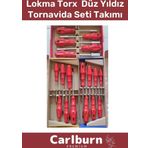 Premium Dayanıklı Ev Iş Tamirat Tadilat Vida Lokma Torx Düz Yıldız Tornavida Seti Takımı