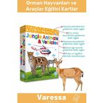 Premium Eğitici Seri Görsel Algı Eğlenceli Hisset Orman Hayvanları Ve Araçlar Eğitim Kartları