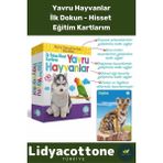 Premium Ince Motor Gelişimi Görsel Algı Eğlenceli Eğitim Kartları Dokun Hisset Tanı Yavru Hayvanlar - Renk