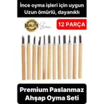 Premium Paslanmaz Ahşap El Oyma Bıçak Seti 12 Parça Siyah Uç İskarpela Hobi Profesyonel İşleme Aleti