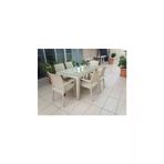 Premium Rattan Masa Takimi 80X140 Camli Masa 6 Sandalye Rattan Takim Col Beji