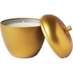 PremiumPort Vinterfint Metal Kutuda 24 Saat Aromalı Mum Vanilya Tarçın Elma 9 cm - Altın - Seçenek 1