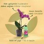 Prestige Orkideler İçin Sıvı Bitki Besini 500 Ml