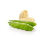 prestijiseed 10 Adet Lİf Kabak Tohumu Sünger Kababağı Tohumu Mısır Hıyarı Tohumu