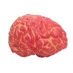 PRETYZOOM 2 Adet Kanlı Vücut Organı Kanlı Korku Sahne Cadılar Bayramı Vücut Organ Sahne Cadılar Bayramı Vücut Parçaları Cadılar Bayramı Kalp Pervane Gerçekçi Kanlı Kalp Insan Vücudu Sütun