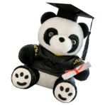 PRETYZOOM Doktor Panda Bebek Panda Dolması Hayvan Mezuniyet 2023 Sınıfını Taşır Hayvan Peluş Yastık Kırmızıya Dönüşmek Kreş Yumuşak Oyuncak Buzz ışık Yılı Oyuncak Narin Çocuk Casper Pamuk