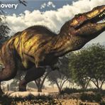 Prime 20925 3D Discovery Tyrannosaurus Rex 63 Parça Puzzle