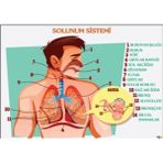Prime Concept Solunum Sistemi Afişi (Vinil) 70X100 cm - tek ebat