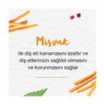 Prime Himalaya Since 1930 Nane Ferahlığı Bitkisel Diş Macunu, Florürsüz, Parabensiz, Vejeteryan, Ferah Nefes, 75 ml 2li Paket - Option-1