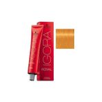 Prime Igora Saç Boyası Konsantre Renkler 60ML-NO - 0.55 Altın