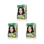 Prime Sea Color Amonyaksız, Vegan, Doğal, Besleyici Kalıcı Saç BOYASI%100 Beyaz Kapama (1 Paket 2 x 50 ml Boya & Oksidan)(Siyah 1.0) (3 Paketi)