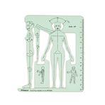 Printtoo 1/8 Ölçekli Kadın Moda Figürü Çizim Şablonu, Giysi Tasarımı, Dikiş Kalıbı Planlaması, Giyim İllüstrasyonu, Anatomi Referansı için Cetvelli 2 mm Akrilik Ön Yüz Vücut Anahat Şablonu