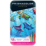 Prismacolor su altı seti, 12 adet, standart boy.