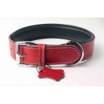 Privilege Hakiki Deri Köpek Boyun Tasması Xl Kırmızı 4X54-64 cm