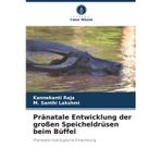 Pränatale Entwicklung der großen Speicheldrüsen beim Büffel