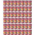 Pro Line 48x400 gr Somonlu Yetişkin Kedi Konservesi