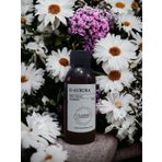 Pro Mac Meissa Koku Makinesi-Diffuser Esans Yağı 100 Ml. Her Makineye Uygun