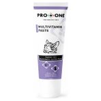 Pro One 100 gr Kediler İçin Multivitamin Macun