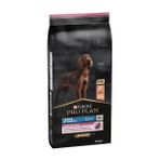 Pro Plan 14 kg Büyük Irk Somonlu Yetişkin Köpek Maması