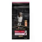 Pro Plan Adult Sensitive Skin Medium Somonlu Köpek Maması 14 Kg
