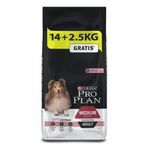 Pro Plan Adult Sensitive Somonlu Hassas Yetişkin Köpek Maması, 16,5 kg PR-K16Y