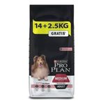 Pro Plan Adult Sensitive Somonlu Hassas Yetişkin Köpek Maması, Medium, 16,5 kg PR-K16.5A