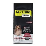 Pro Plan Adult Sensitive Yetişkin Somonlu Köpek Maması, 16,5 kg 106-0025.02