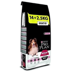 Pro Plan Hassas Adult Sensitive Somon 14+2,5 Kg Köpek Maması