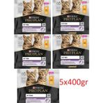 Pro Plan Junior Tavuklu Yavru Kedi Maması 5X400 gr