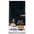 Pro Plan Opti Derma Sensitive Somonlu Orta ve Büyük Irk 14 kg Yaşlı Köpek Maması