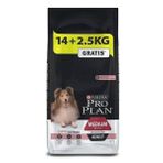 Pro Plan Opti Derma Somonlu Orta Irk 16.5 kg Yetişkin Köpek Maması