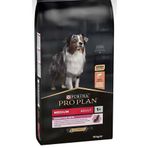 Pro Plan Pro plan adult somonlu yetişkin köpek maması 14 kg