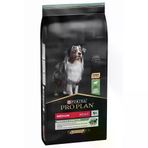 PRO PLAN Pro Plan Medium Adult Sensitive Lamb Kuzulu Köpek Maması 10 Kg